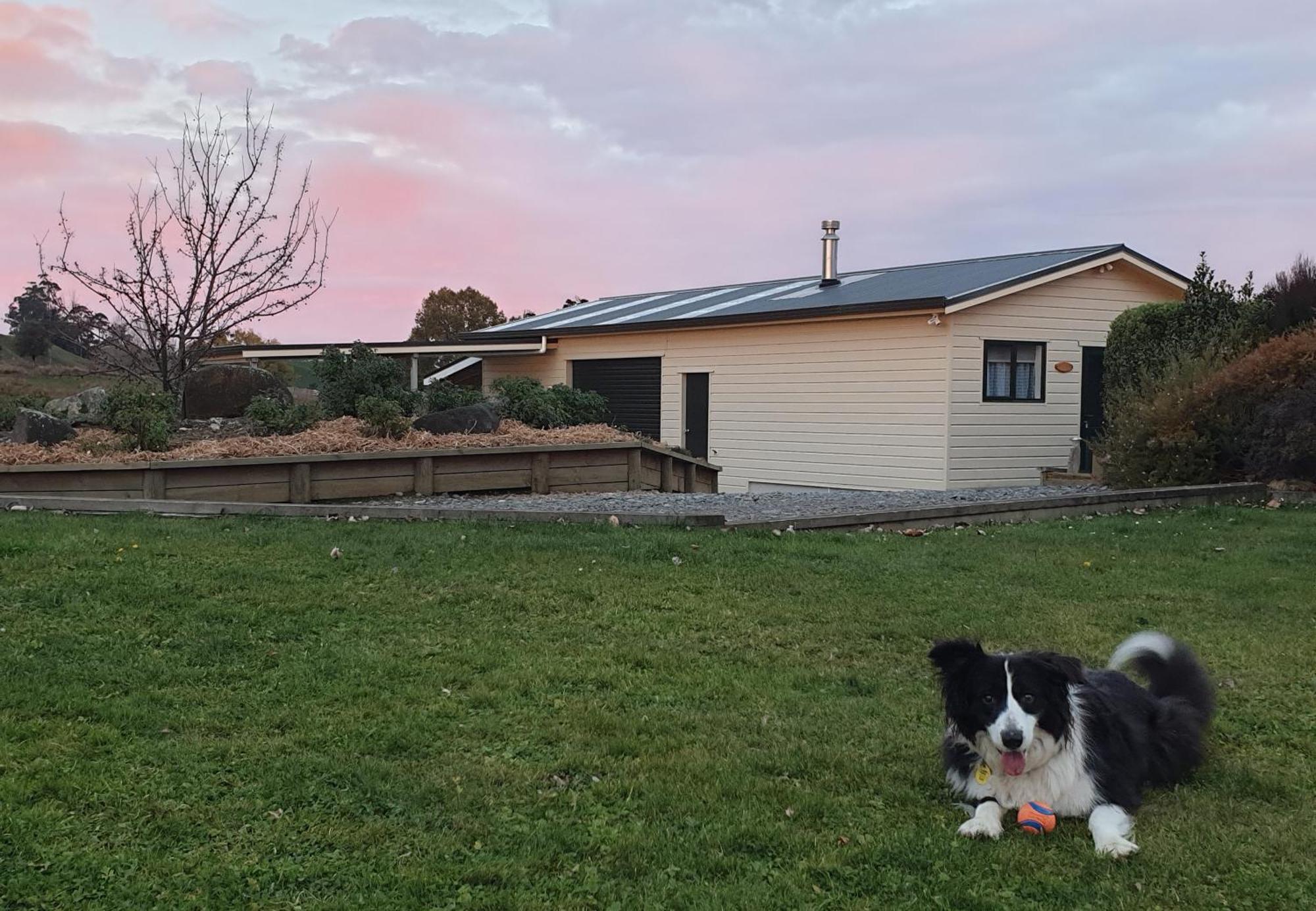 Hopwood Bed & Breakfast Taihape Exteriör bild
